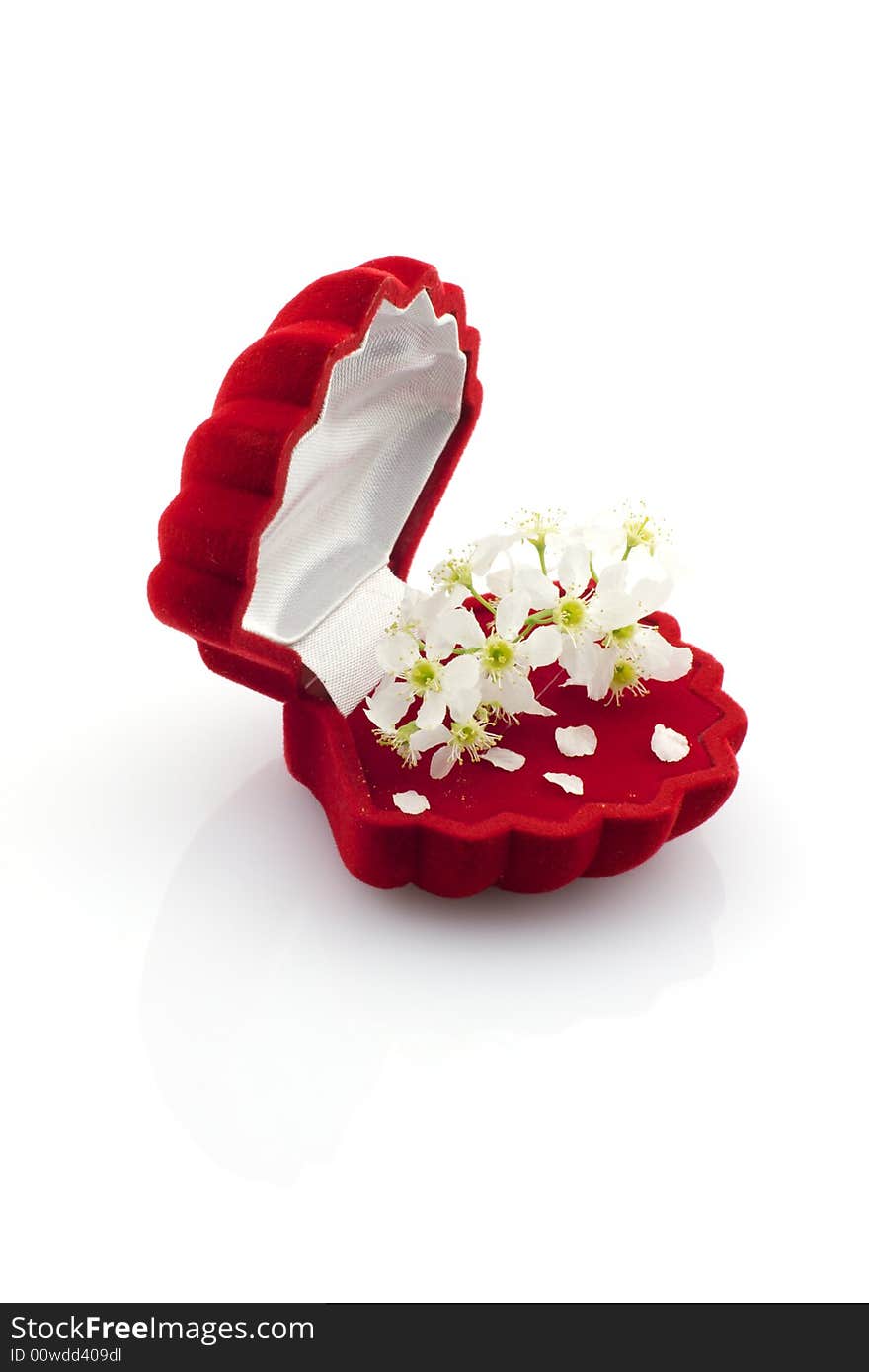 Open red jewelry gift box with bird cherry flowers, isolated on white. Open red jewelry gift box with bird cherry flowers, isolated on white