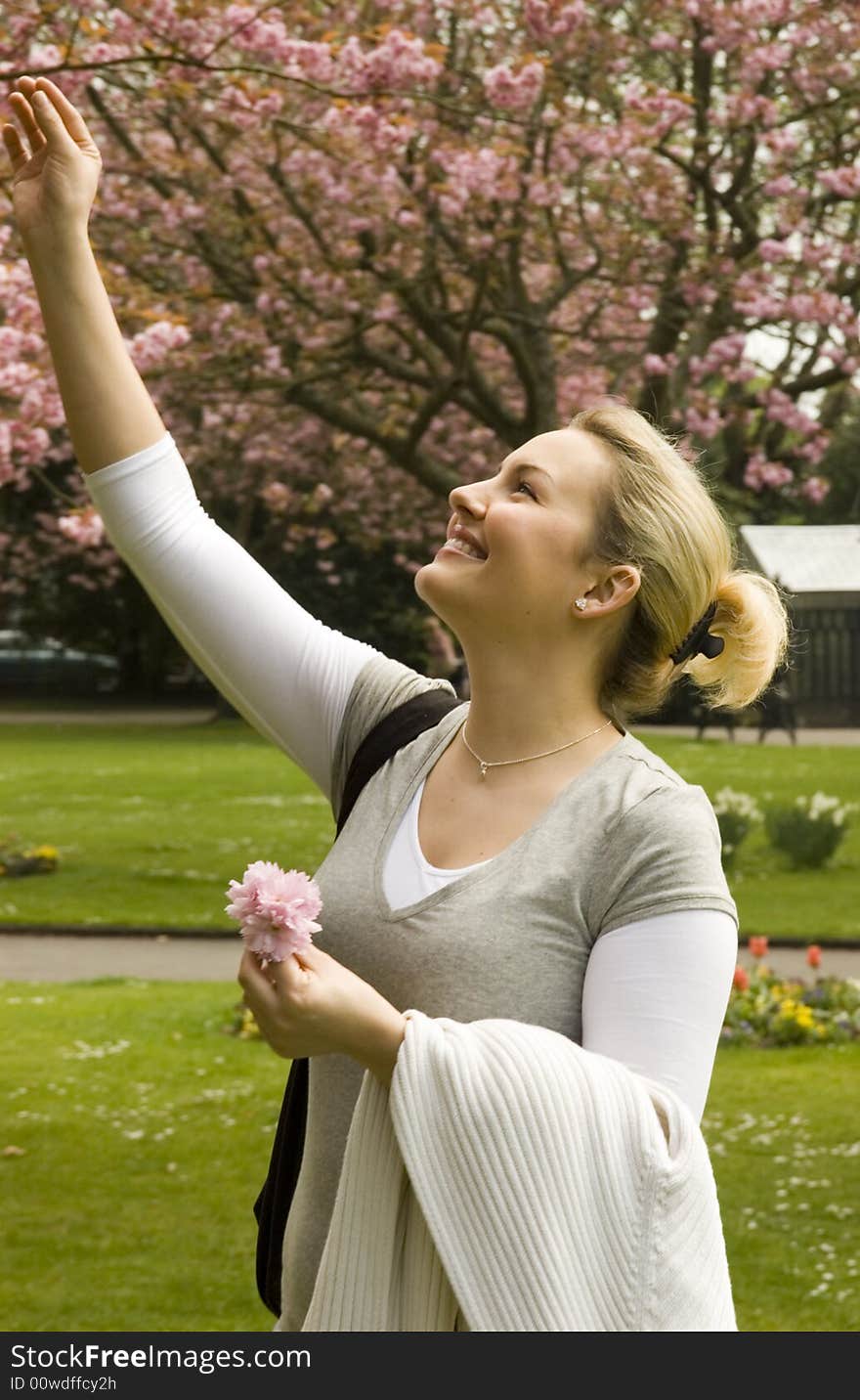 Young women in a park with pink cherry blossoms reaching to a branch. Young women in a park with pink cherry blossoms reaching to a branch