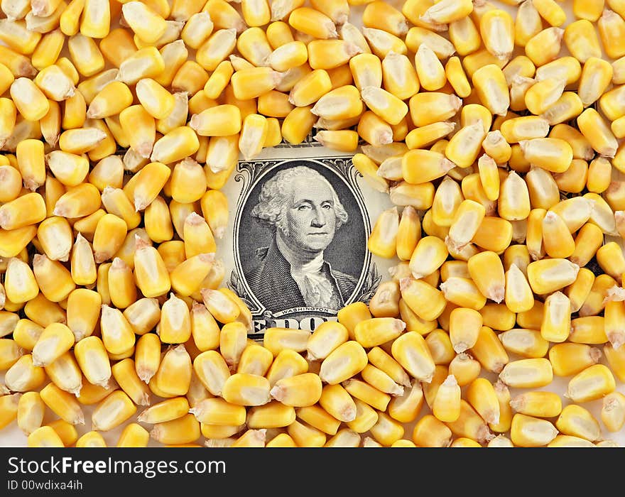 A pile of corn kernels with a dollor bill showing through the center. A pile of corn kernels with a dollor bill showing through the center