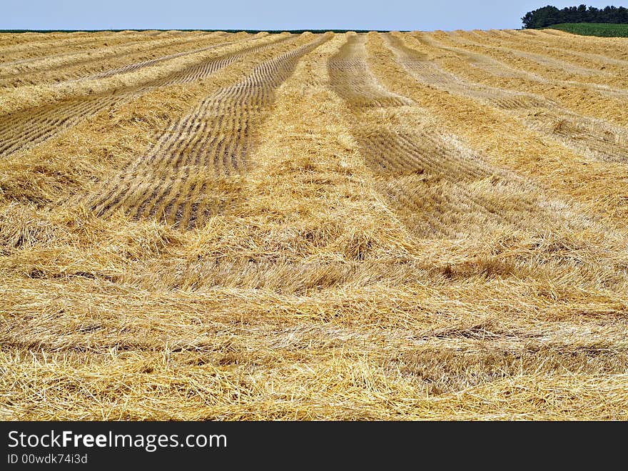 Harvested Wheatfield II