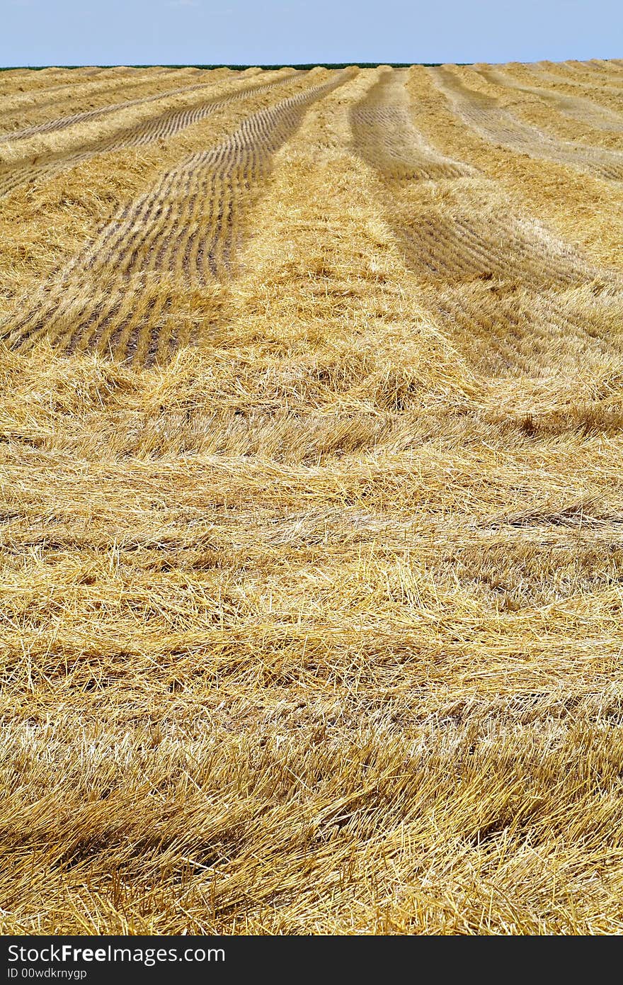 Harvested Wheatfield III