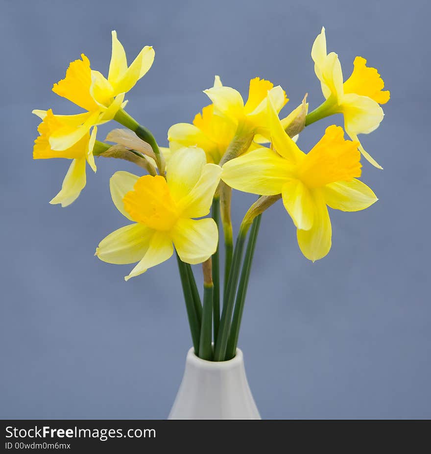 Bouquet of narcissuses in a vase