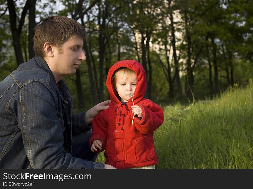 The daddy and a small daughter blow on a white dandelion. The daddy and a small daughter blow on a white dandelion