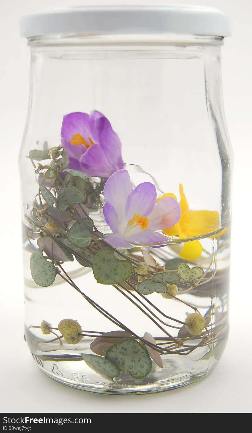 Spring In Glass