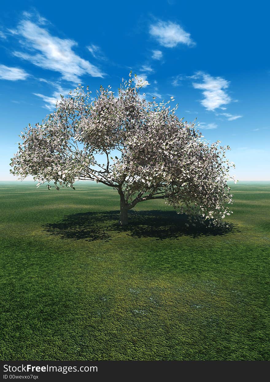 Alone blossom  tree and beautiful sky with clouds  - 3d landscape scene. Alone blossom  tree and beautiful sky with clouds  - 3d landscape scene.