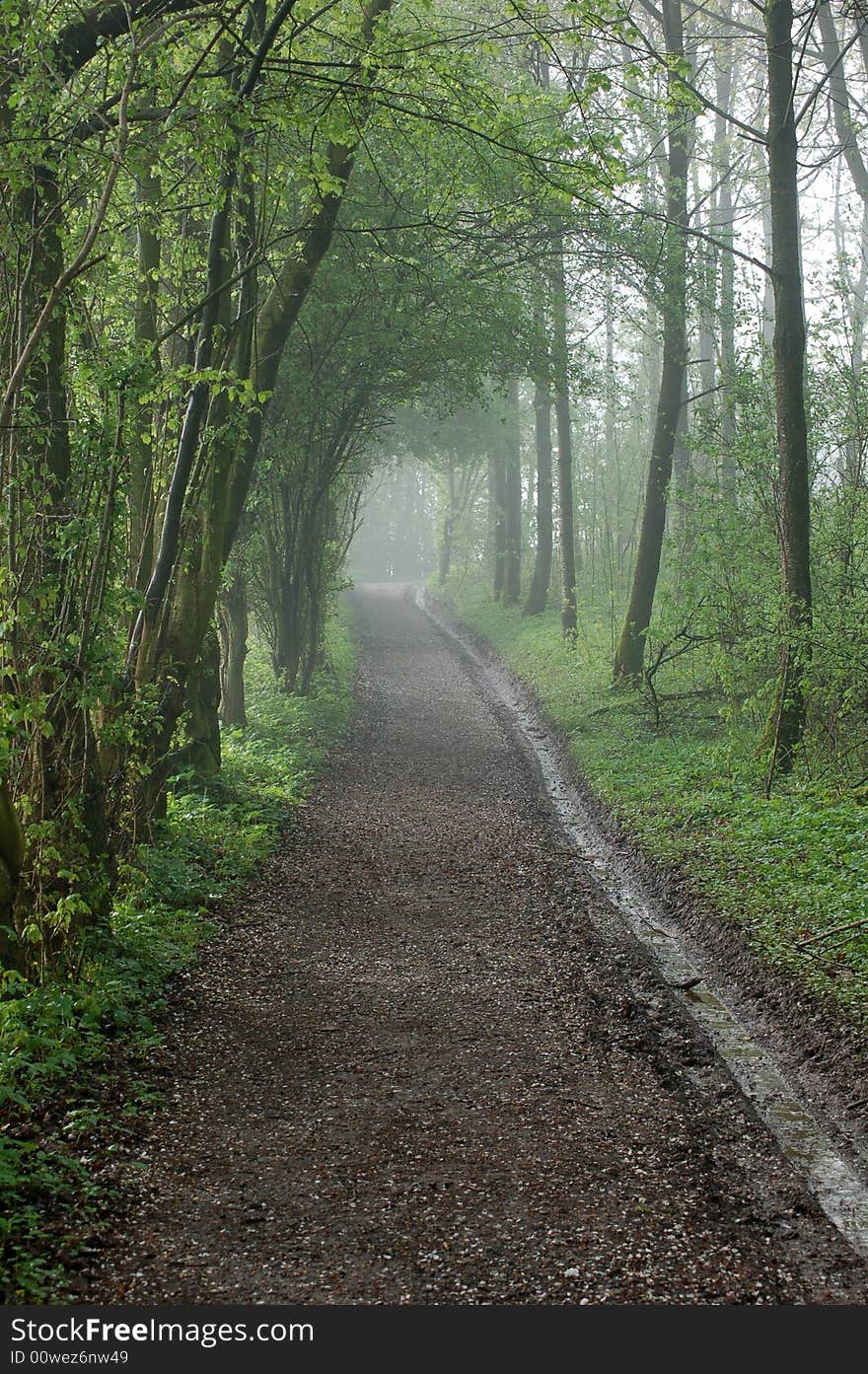 Road at the sunrise, morning. Road at the sunrise, morning