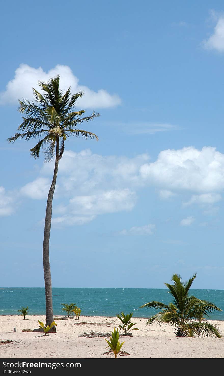 Beach Mexico