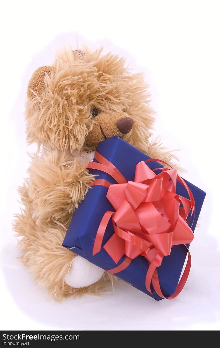 Teddy bear with gift box