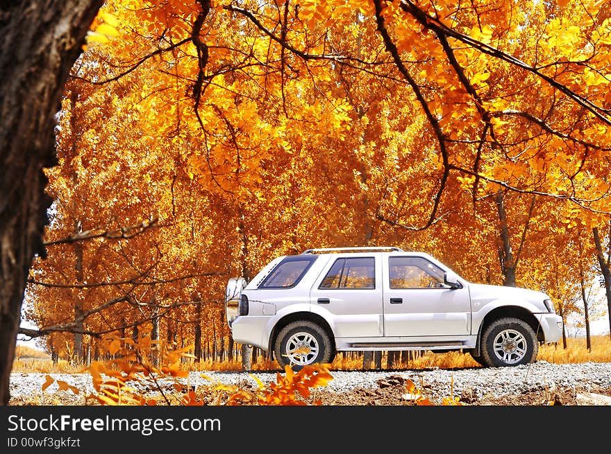 Rural travel in autumn