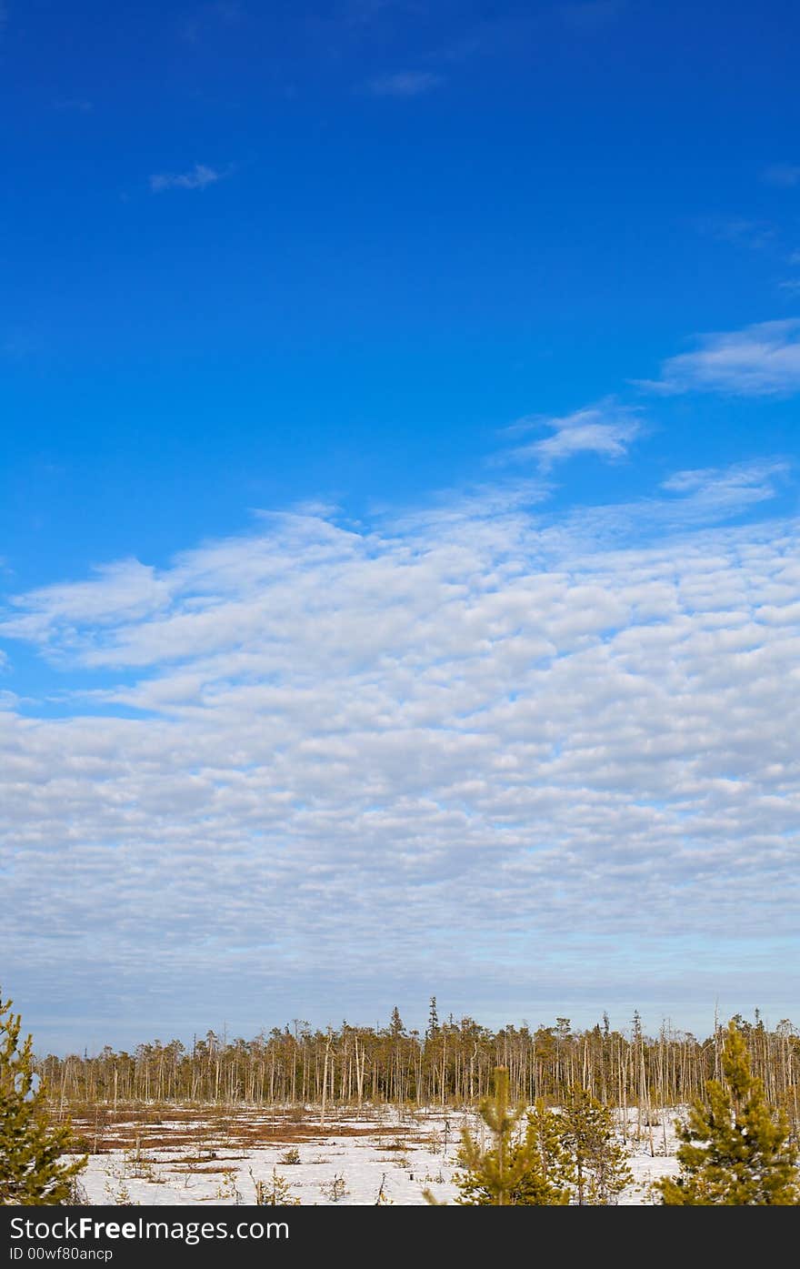 Vertical Karelian steppe landscape photography spring. Vertical Karelian steppe landscape photography spring.