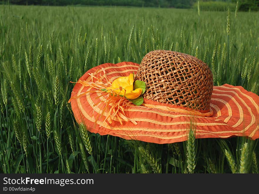 A nice hat on the wheat field. A nice hat on the wheat field