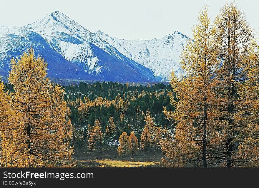 Autumnal Landscape In The North Mountain.