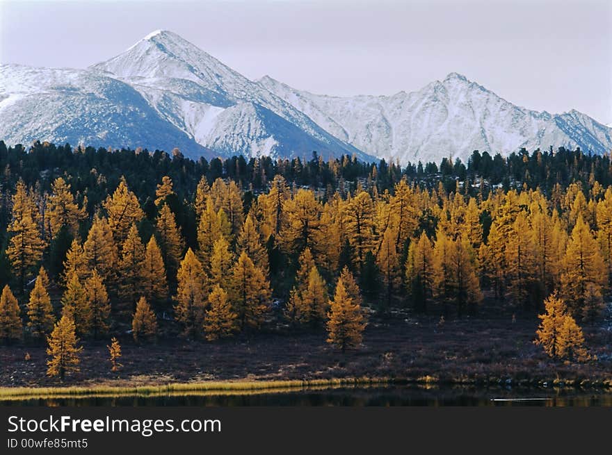 Landscape in the north mountain.