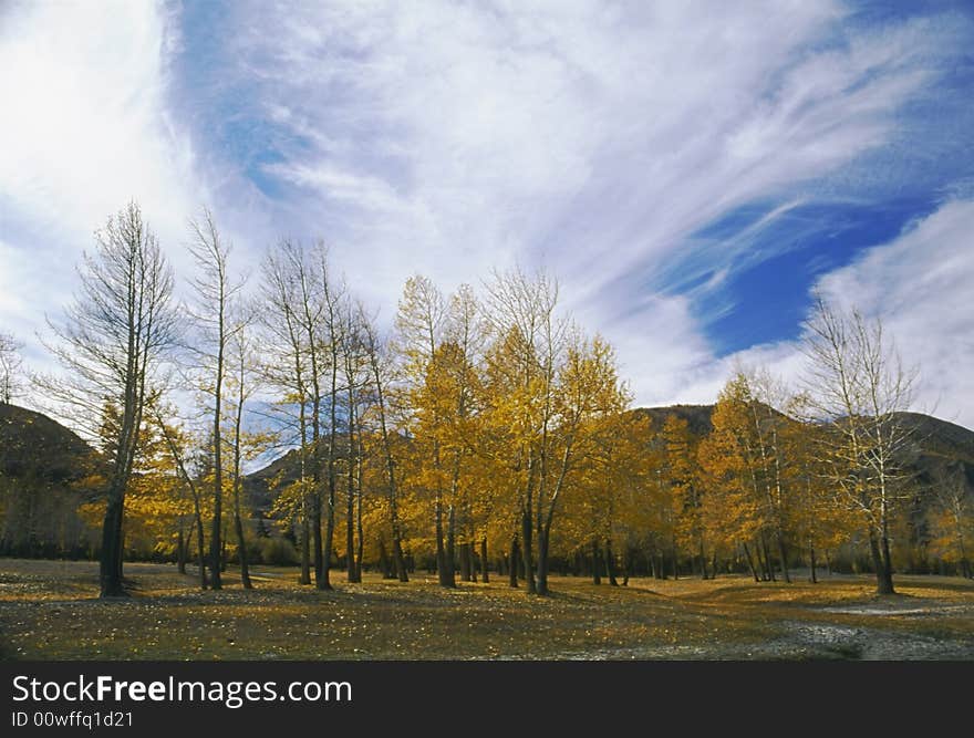 Landscape In The North Mountain.