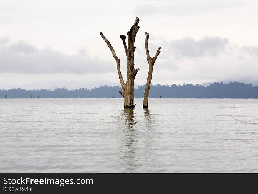 Nam Ngum Reservoir, Laos