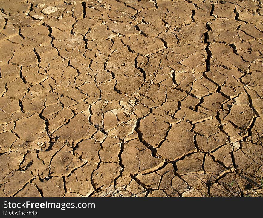 Cracked earth close up picture. Cracked earth close up picture