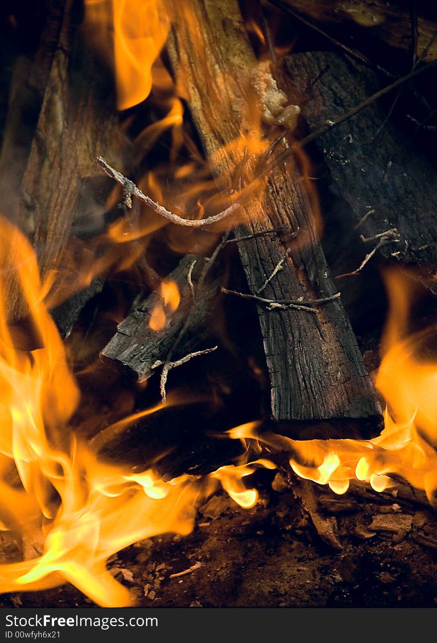 Burning wood, close-up campfire