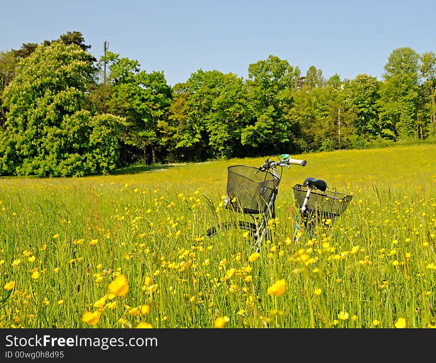 Bicycle in the high grass