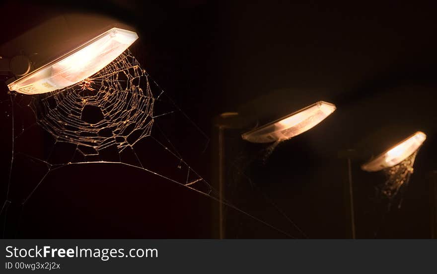 Image of a spider-web at night. Image of a spider-web at night