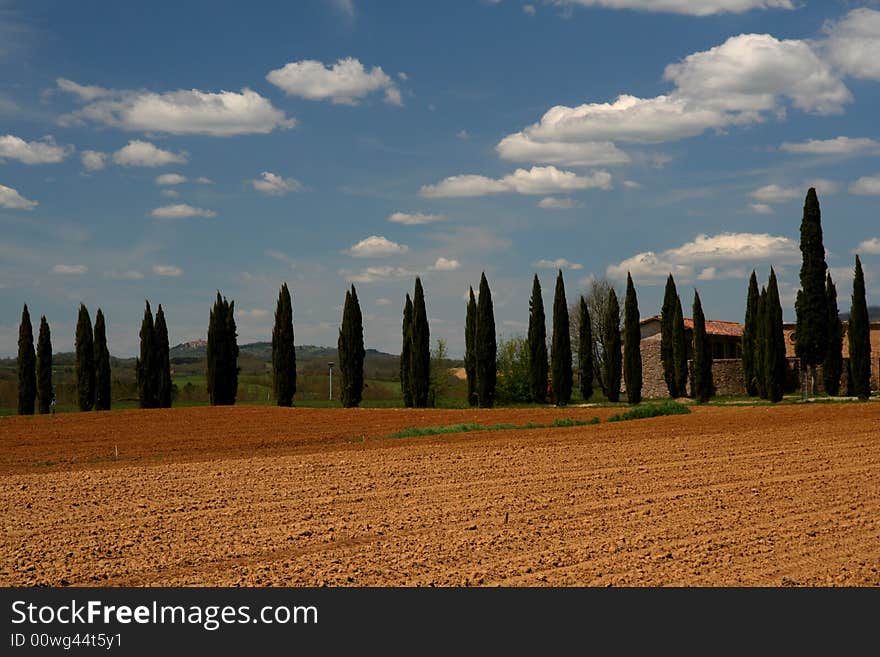 Landscape in San Galgano - Tuscany - Italy. Landscape in San Galgano - Tuscany - Italy