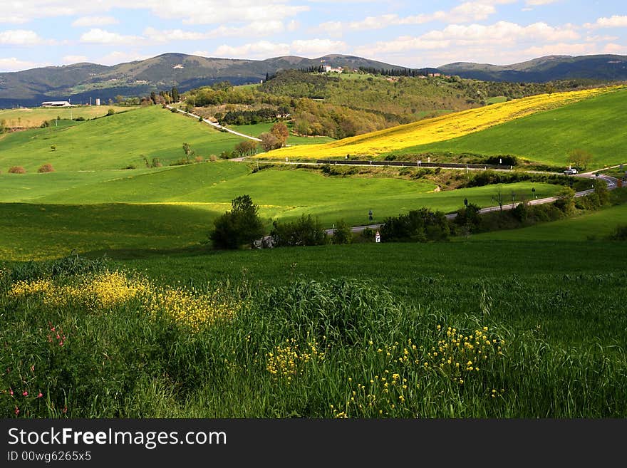 Tuscan Spring Landscape