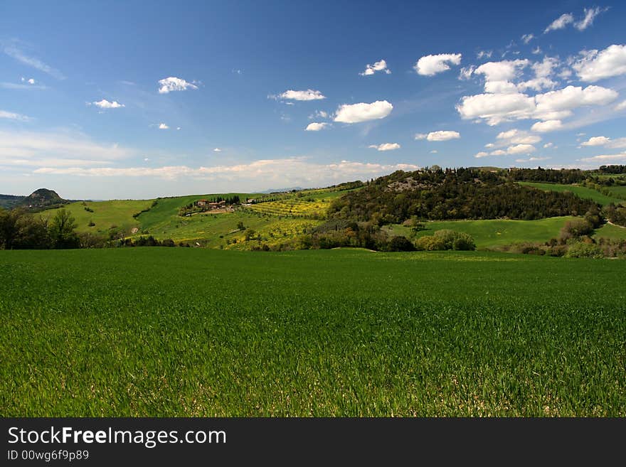 Tuscan spring landscape