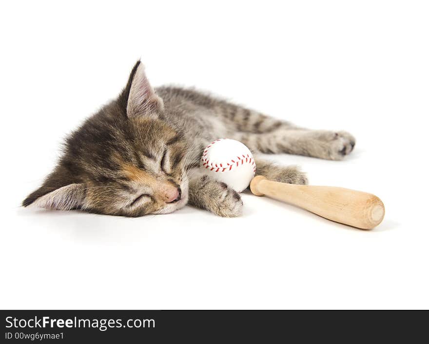 A kitten takes a nap while holding a baseball and bat on a white background. One in a series. A kitten takes a nap while holding a baseball and bat on a white background. One in a series