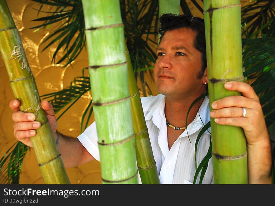 Male model posing behind bamboo shoots in a tropical location. Male model posing behind bamboo shoots in a tropical location