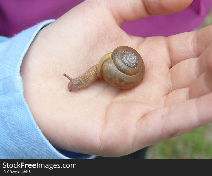 Child Holding Snail