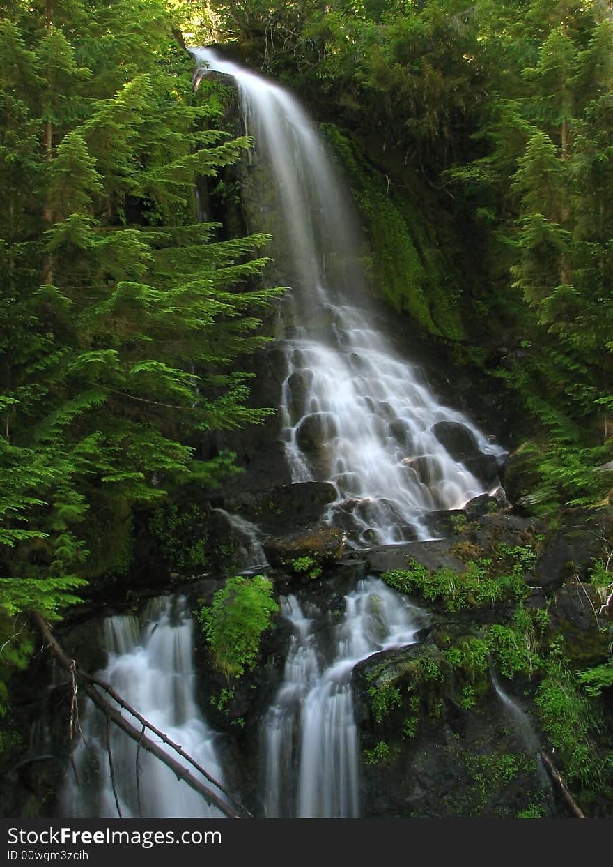 A beautiful waterfall within a pristine, lush, green forest.