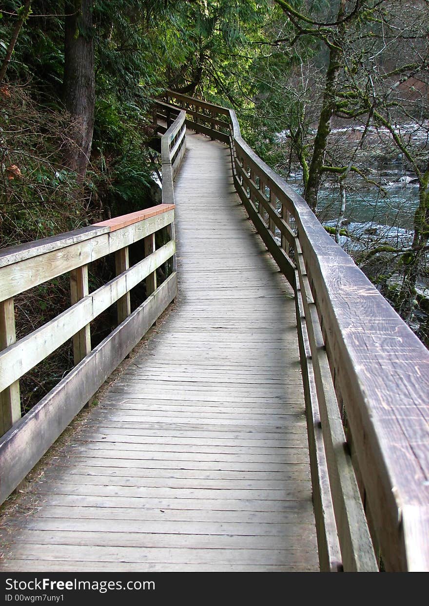 A wooden boardwalk leading into the unknown. A wooden boardwalk leading into the unknown.