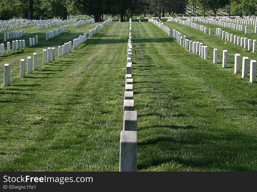 Straight rows of tombstones/headstones in Arlington National Cemetery.