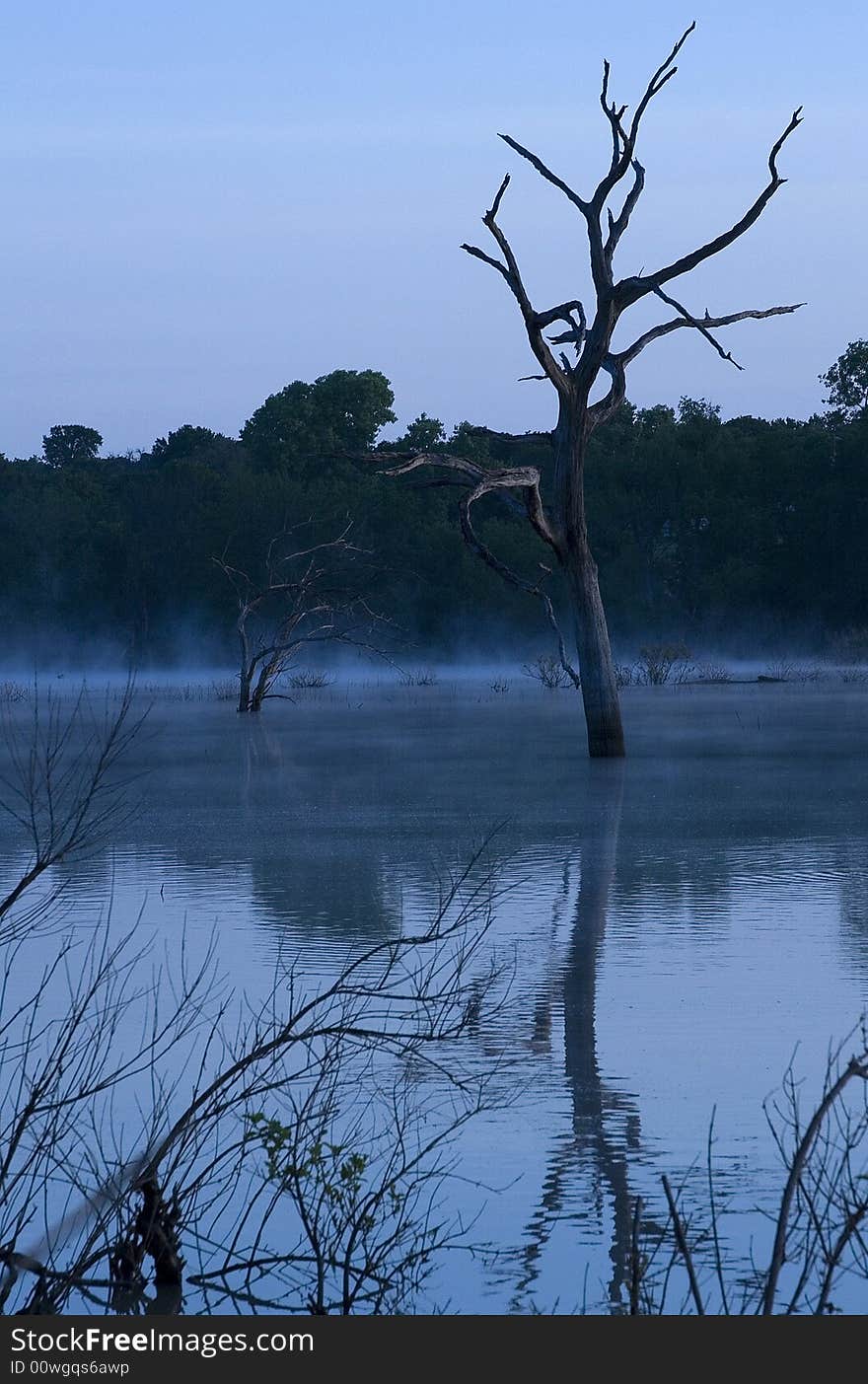 Morning Mist