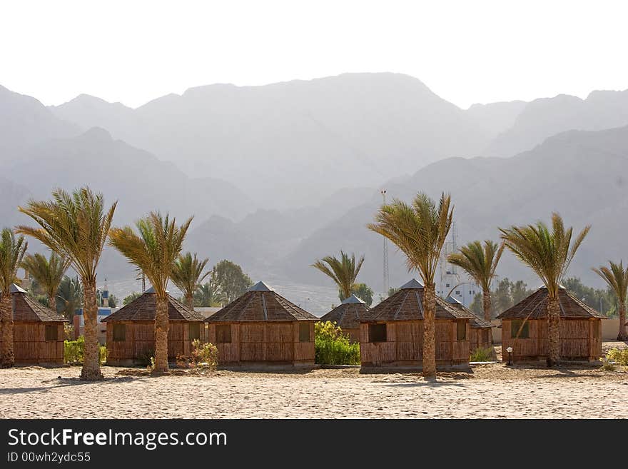 Cabins and palm trees on the Red Sea coast. Cabins and palm trees on the Red Sea coast