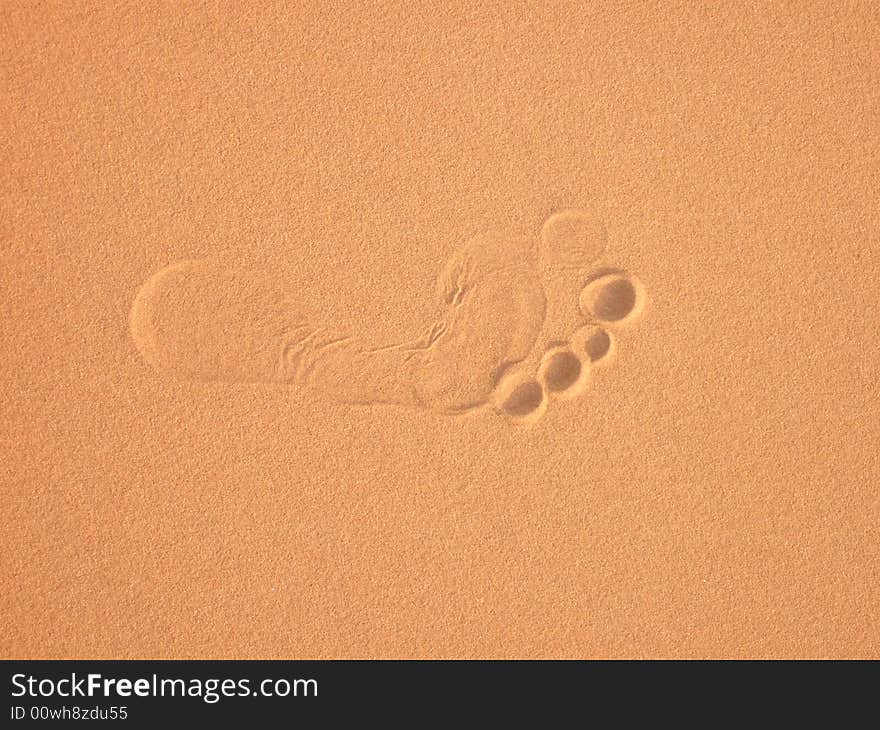 A Bare Human footstep on Sand Dunes of Sahara