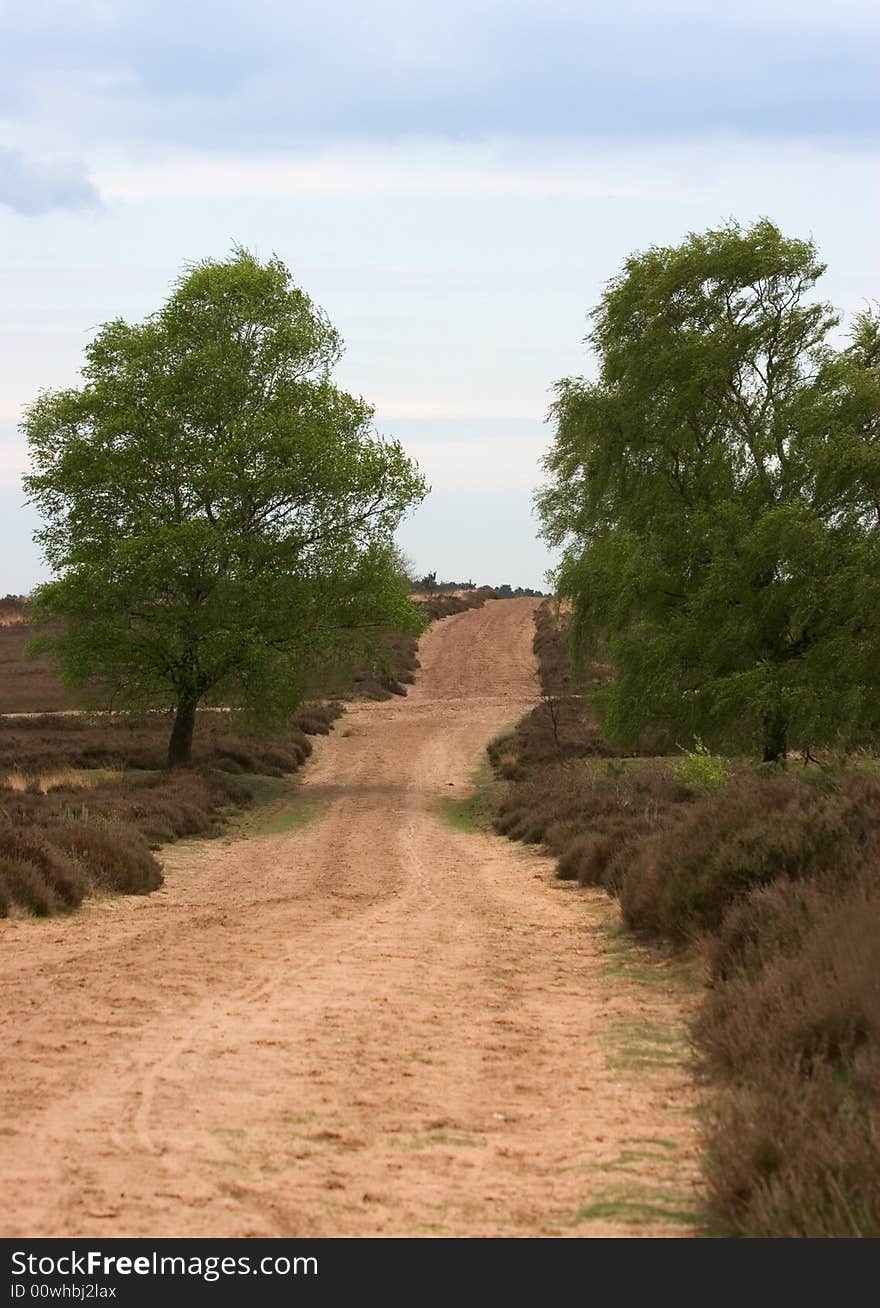 Sandy road in the Dutch moors