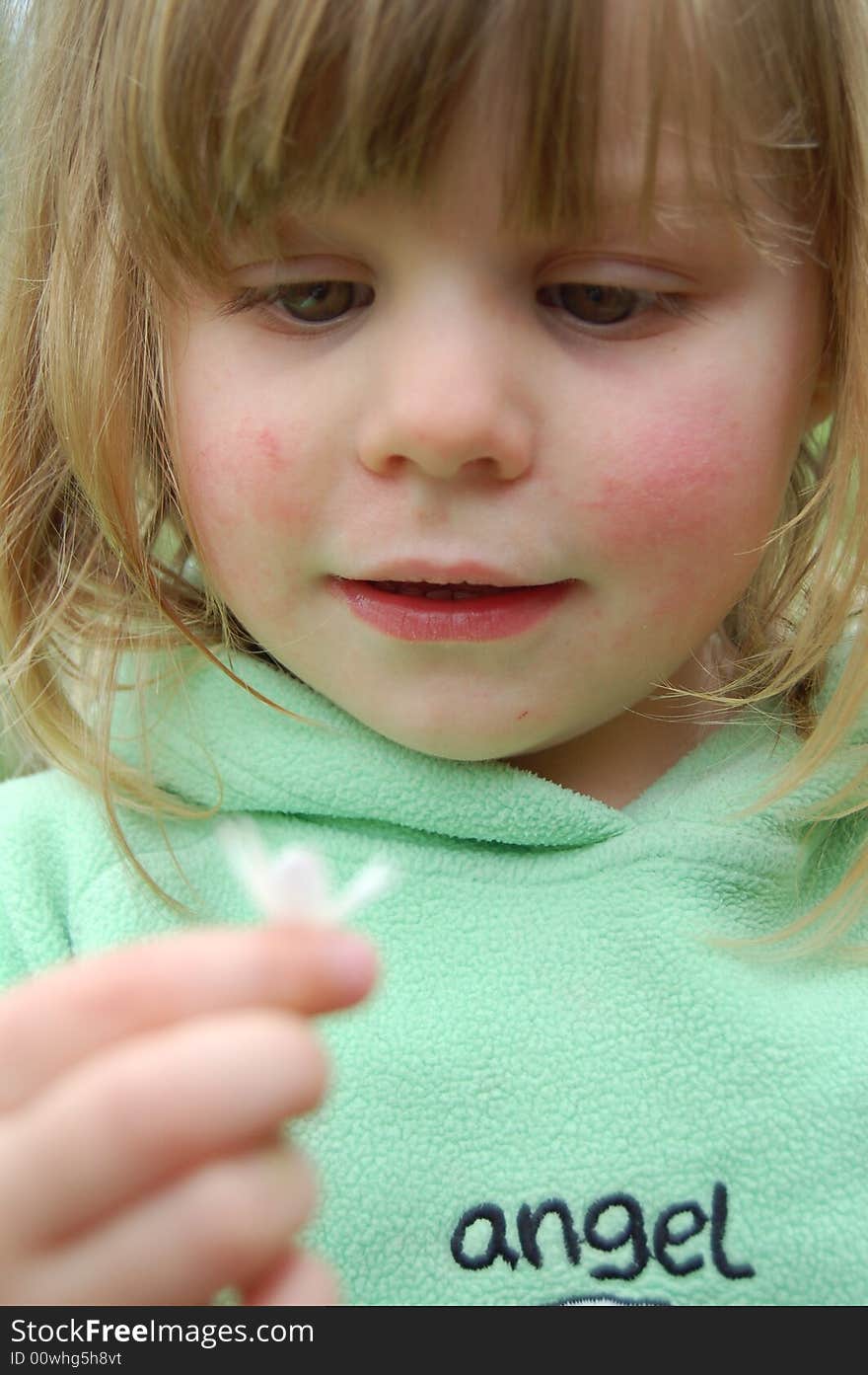 Young Girl Admiring a Flower. Young Girl Admiring a Flower