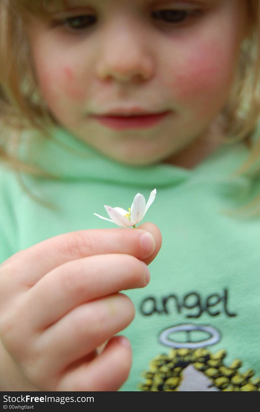 A young girl holding a flower. A young girl holding a flower