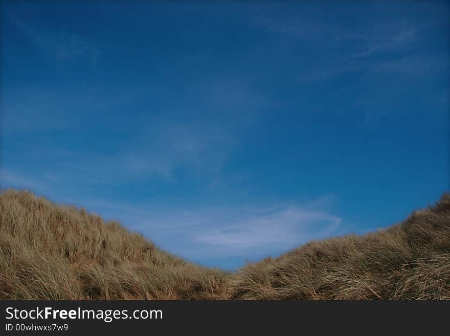 Tall grass on sand dunes on the west coast of ireland. Tall grass on sand dunes on the west coast of ireland