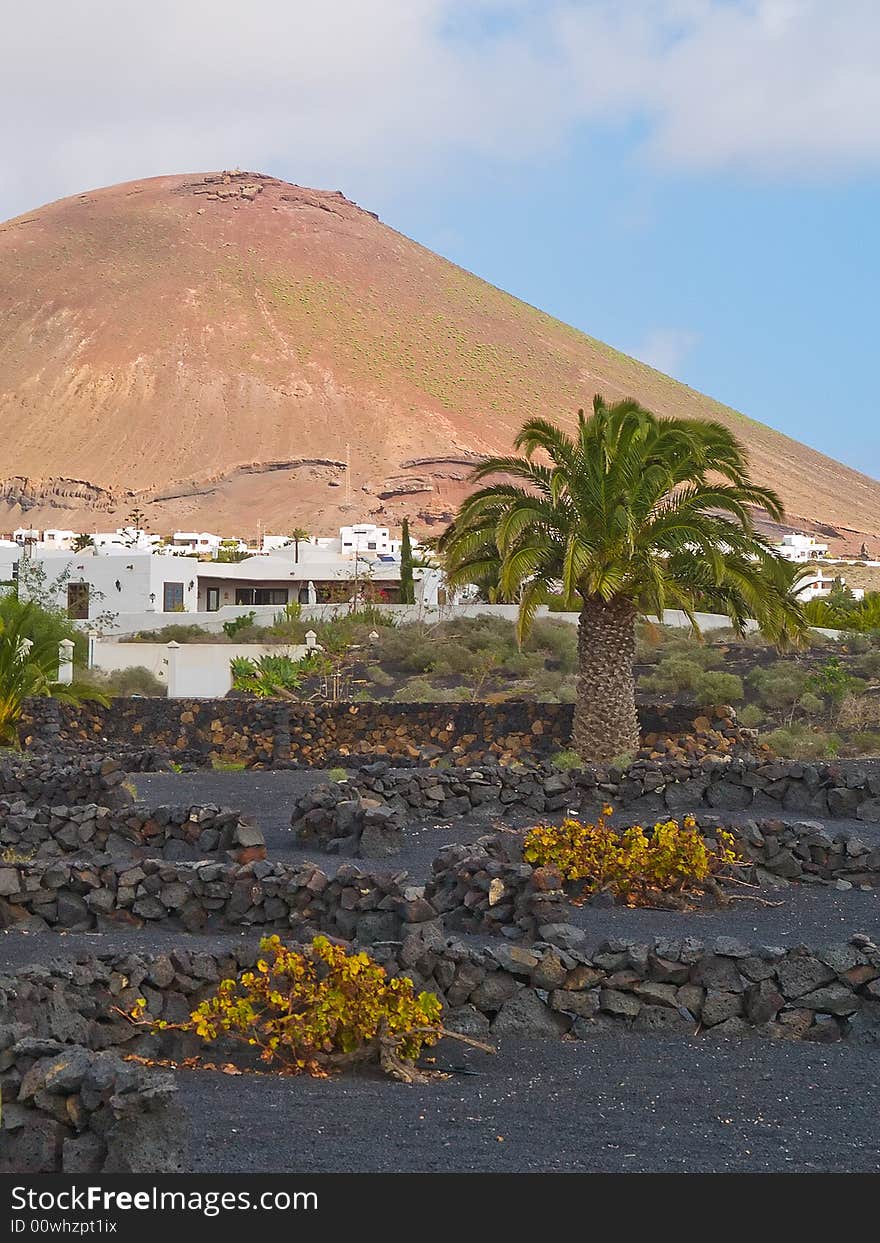 Landscape of Lanzarote island, Canary islands. Landscape of Lanzarote island, Canary islands