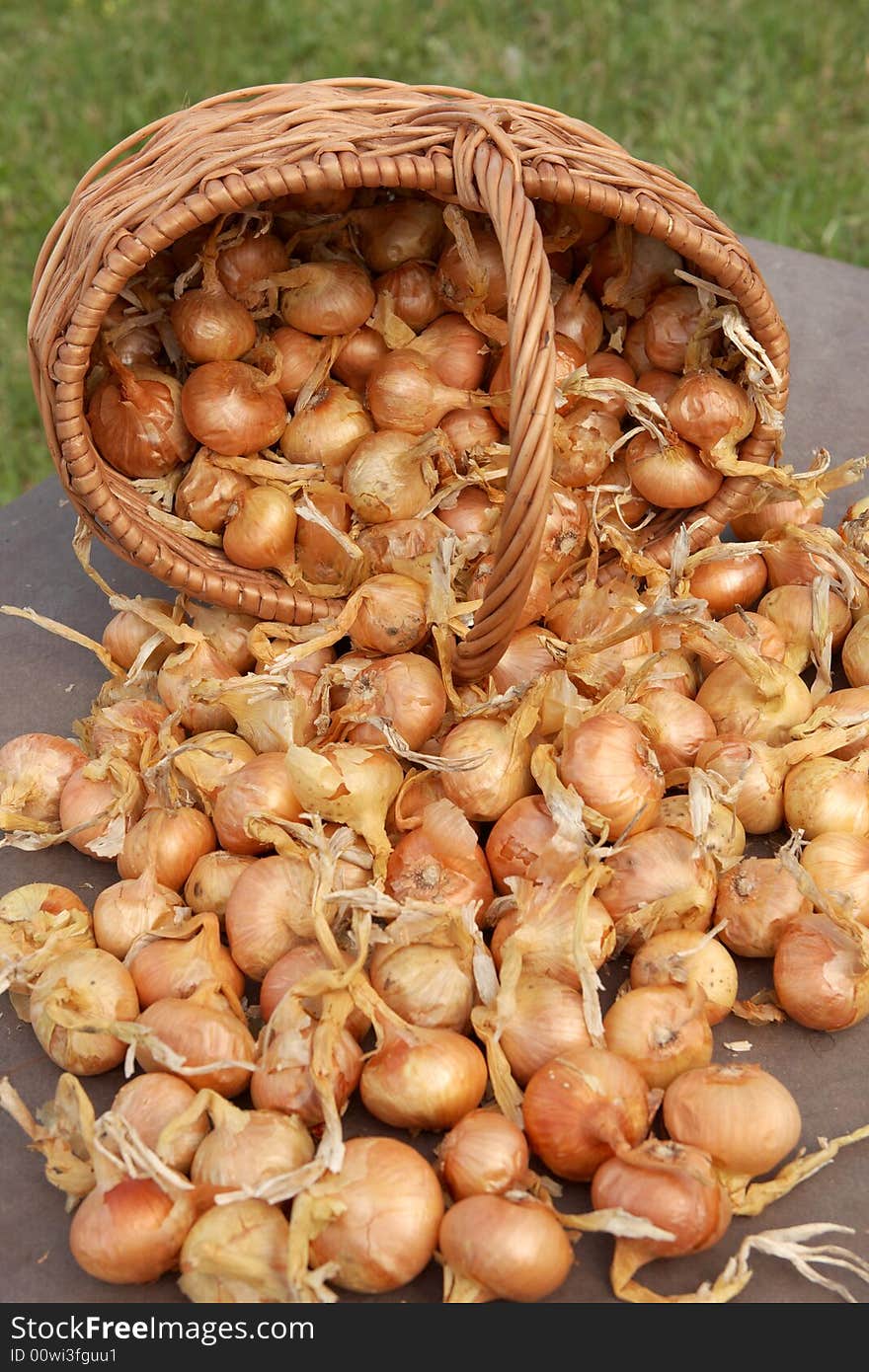 Onions In Basket