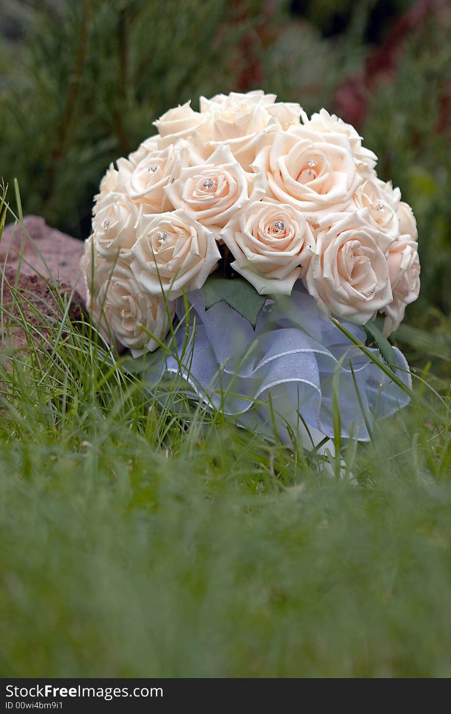 Bridal cream roses bouquet in the grass