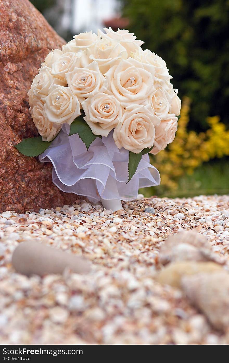 Bridal cream roses bouquet over seashells. Bridal cream roses bouquet over seashells