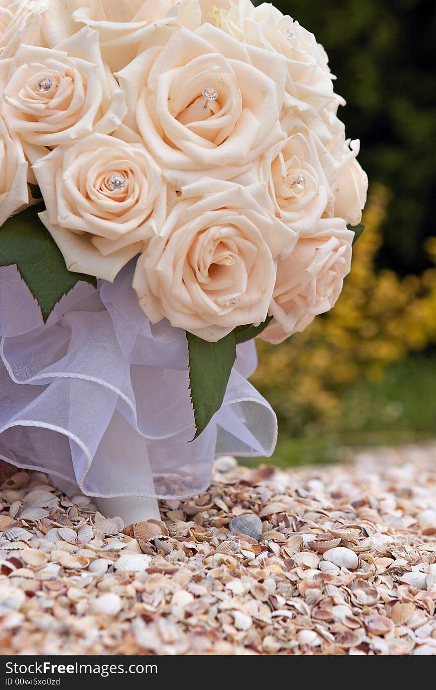 Bridal cream roses bouquet over seashells