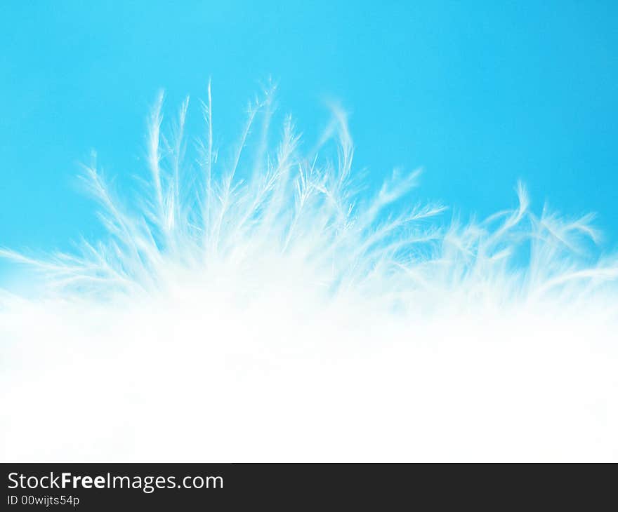 A lot of thin white feathers and down over light blue background. A lot of thin white feathers and down over light blue background