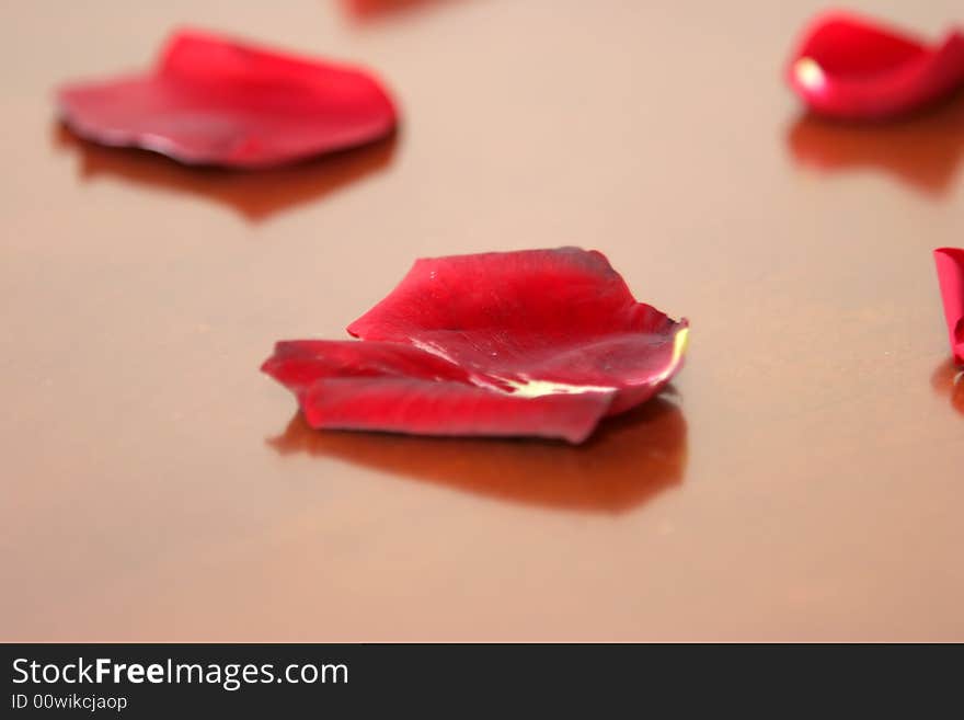 Petals scattered on a table