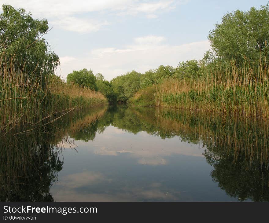 Danube delta