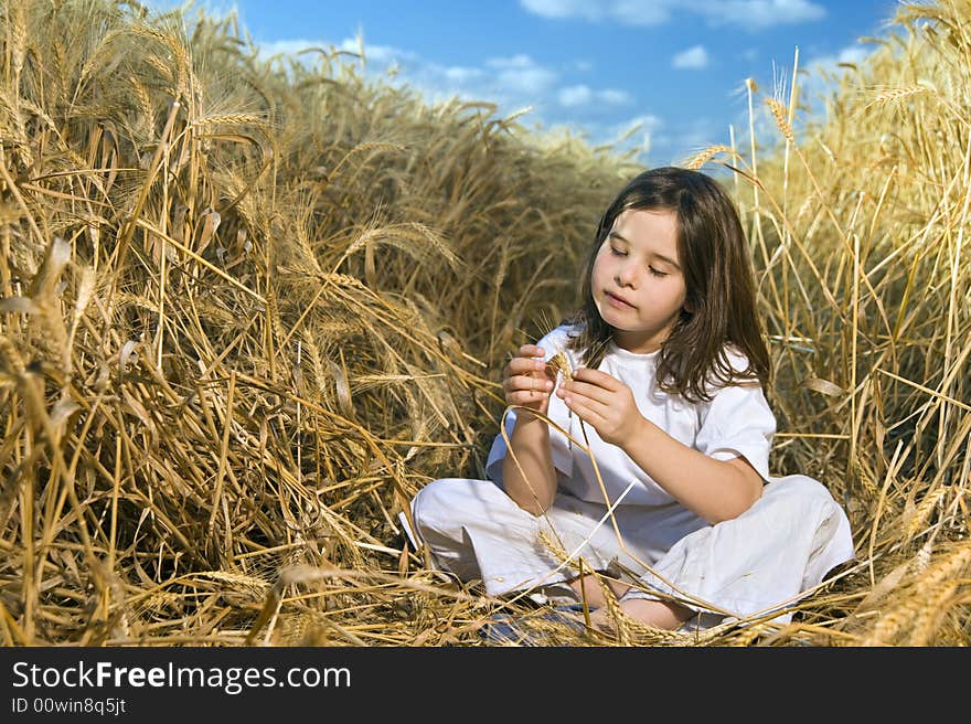 Littel girl having fun in a wheat field. Littel girl having fun in a wheat field