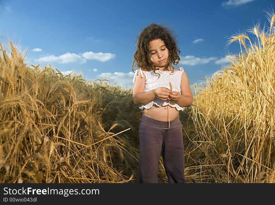 Little girl in a wheat field