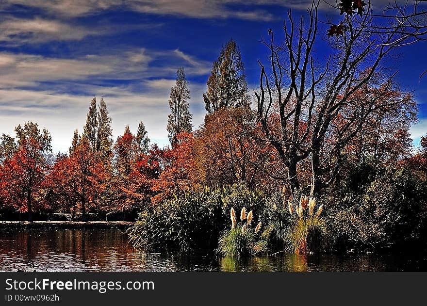 Lake in Autumnal colors at Queen Elizabeth Park, Masterton,New Zealand. Lake in Autumnal colors at Queen Elizabeth Park, Masterton,New Zealand